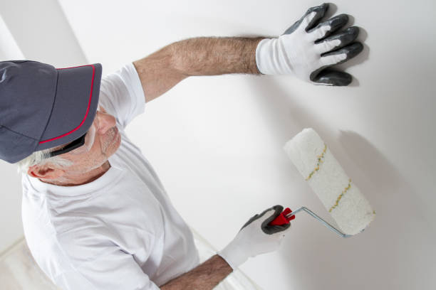 Professional Dry wall and painting in Roosevelt Gardens, FL